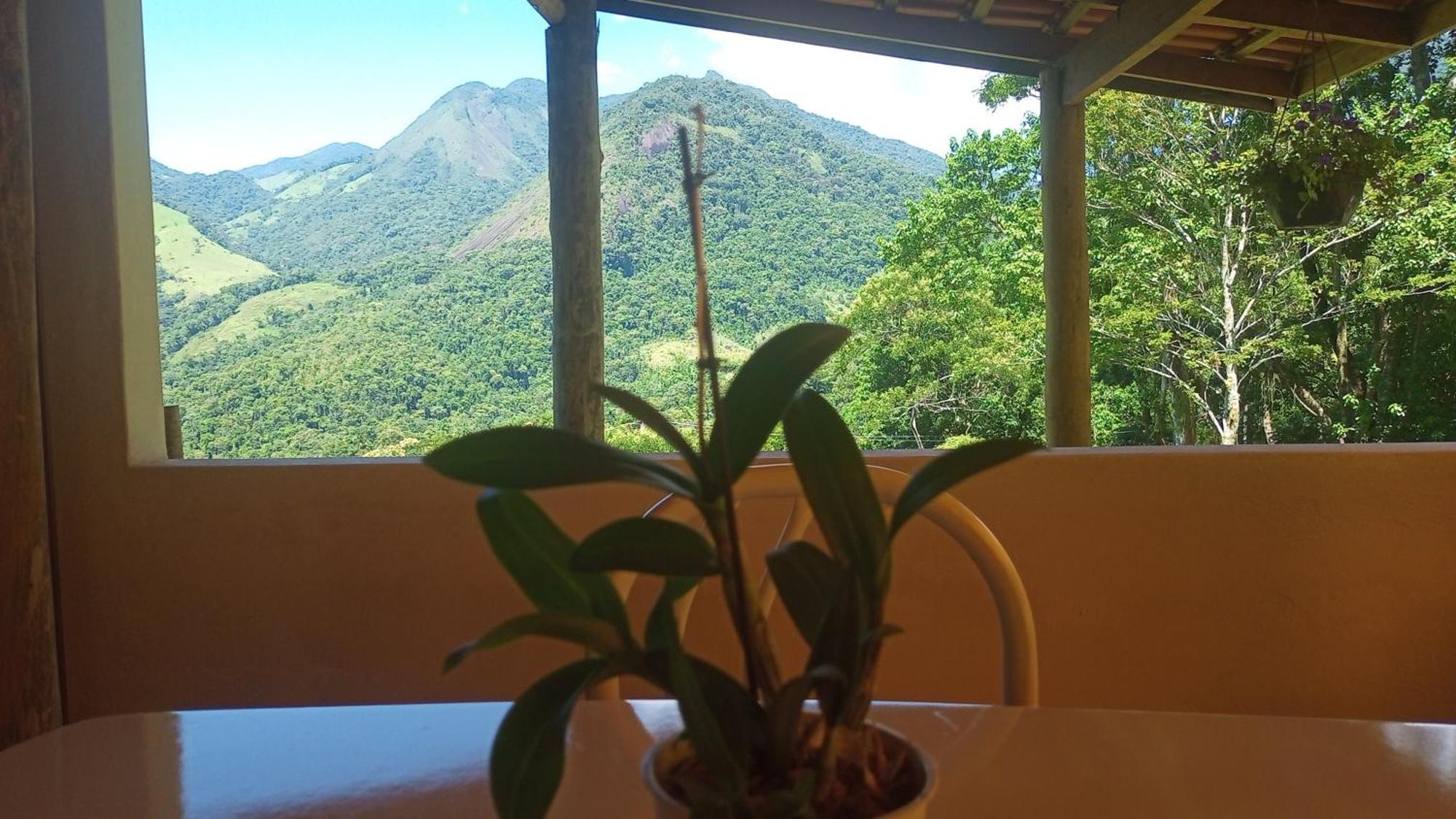 Pousada Vereda Tropical 帕拉蒂 外观 照片